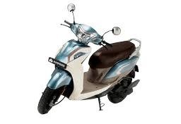 Magnus Grand Max (New Variant)